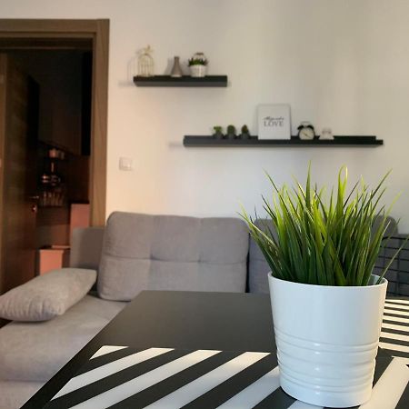 Apartman Spring Sombor Eksteriør bilde