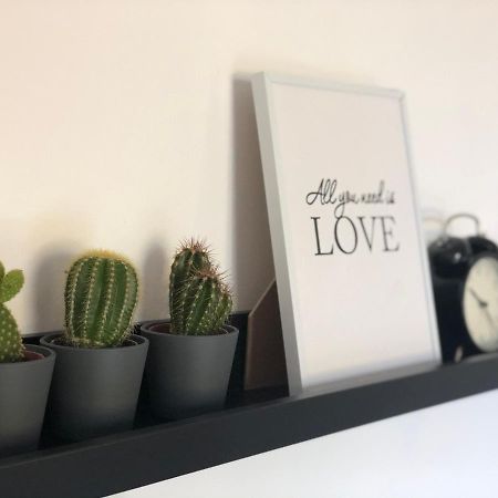 Apartman Spring Sombor Eksteriør bilde