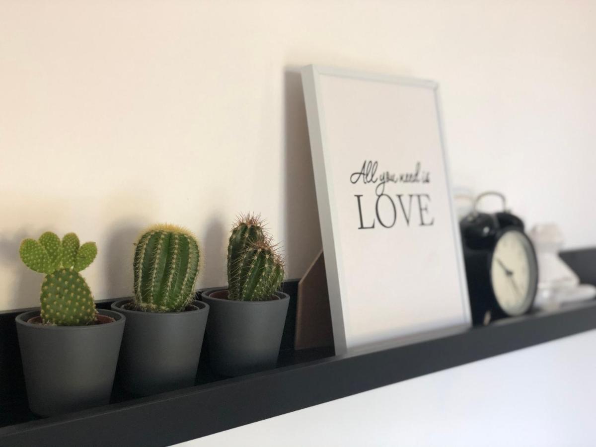 Apartman Spring Sombor Eksteriør bilde